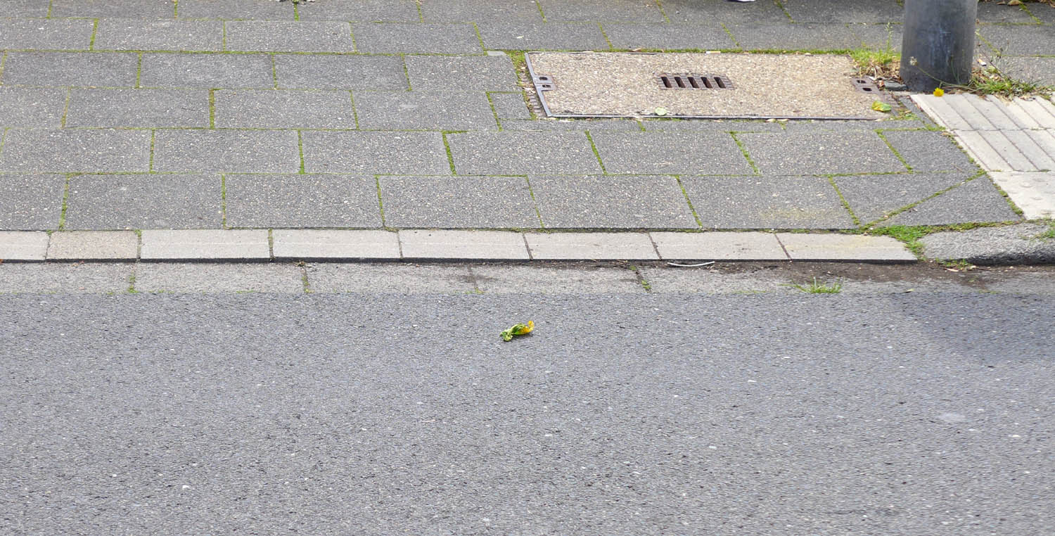 2020 06 bordsteinabsenkungskarte