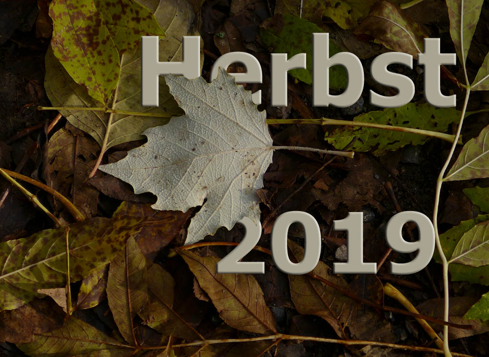 2019 11 herbst 00