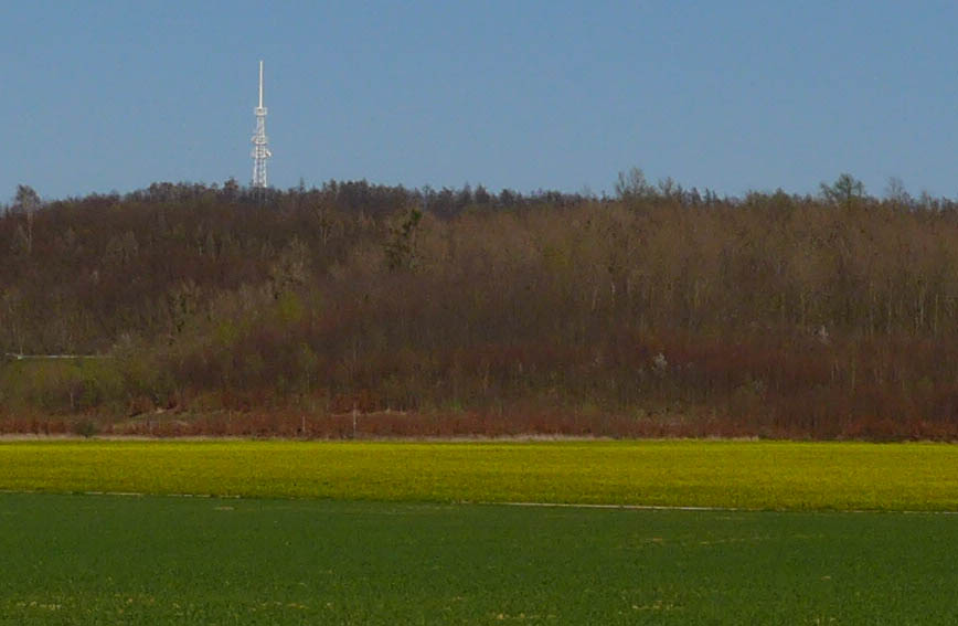 2020 03 elektroschrott im wald 00