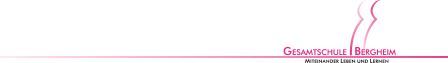 Logo Gesamtschule 11